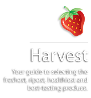 Harvest Description